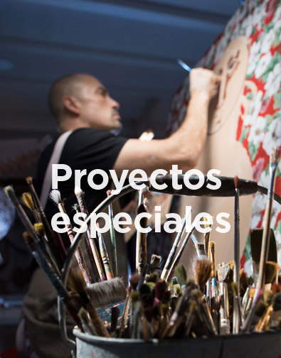 Proyectos Especiales